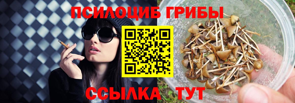 Псилоцибиновые грибы ЛСД  Галлюциногенные грибы Psilocybe  Вход с VPN  Воткинск 