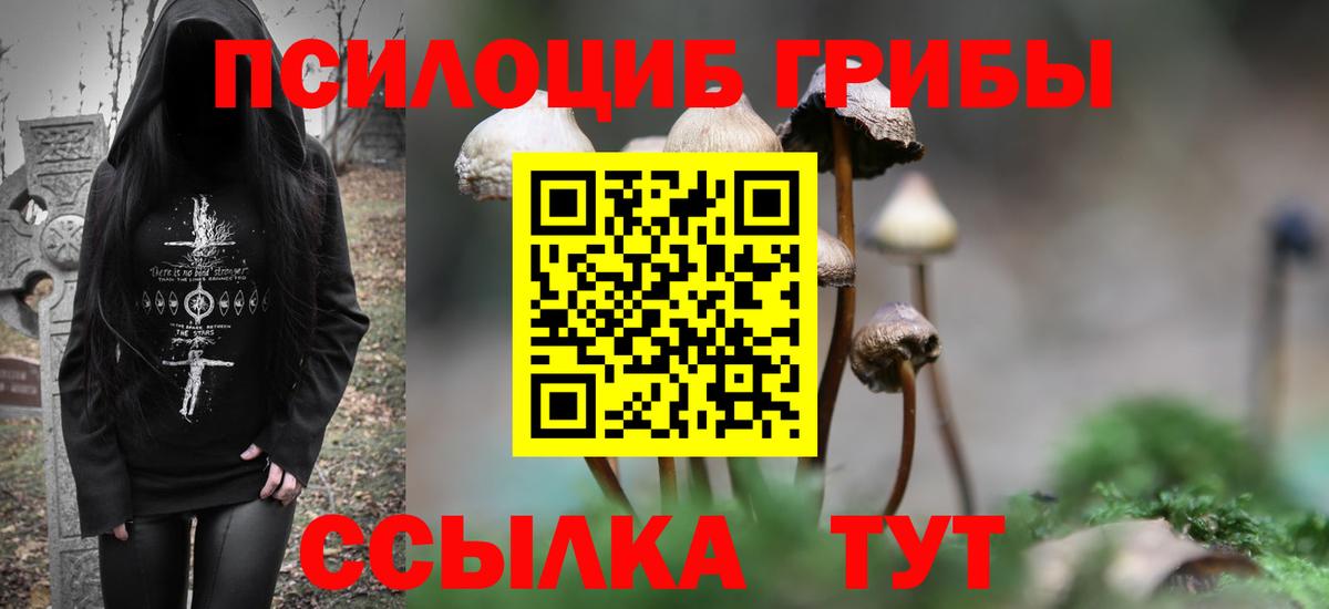 Галлюциногенные грибы MAGIC MUSHROOMS Воткинск